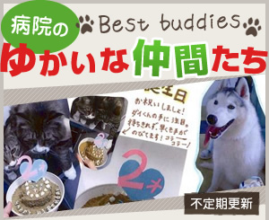 Best buddies ゆかいな仲間たち 不定期更新