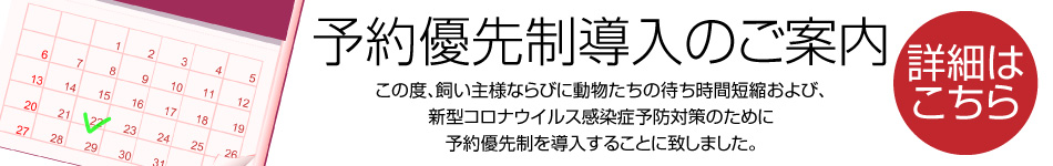 【私たちの想い】大切な家族。守り抜く責任が私たちにはあります。