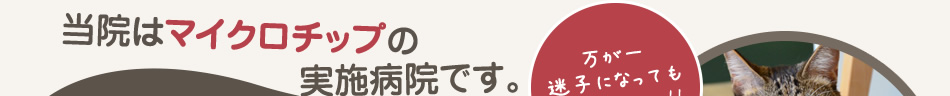 当院はマイクロチップの実施病院です。